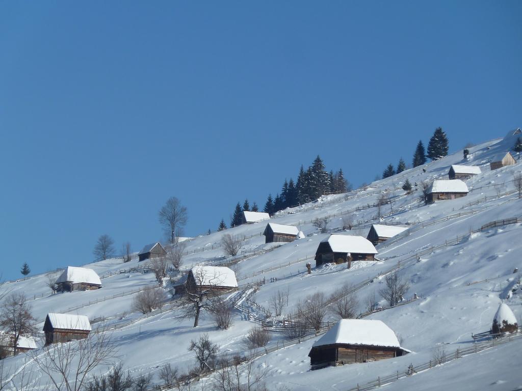Ranger Chalet Moeciu De Sus Pokoj fotografie