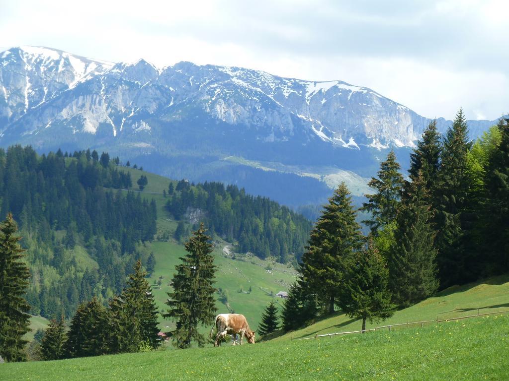 Ranger Chalet Moeciu De Sus Pokoj fotografie
